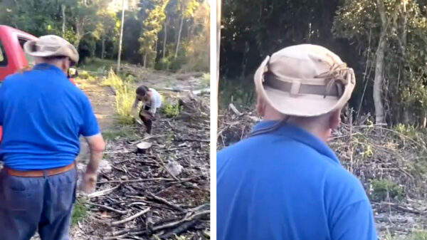 Vriend, volgens mij zit er een spinnetje op je hoed