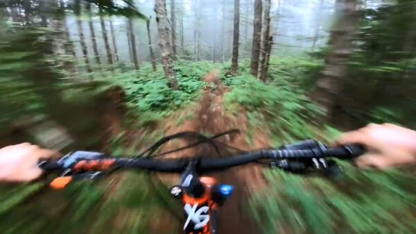 Tijd om even lekker kogelhard door een mistig bos te razen