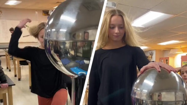 Heb je al eens een meisje in een paardenbloem zien veranderen?