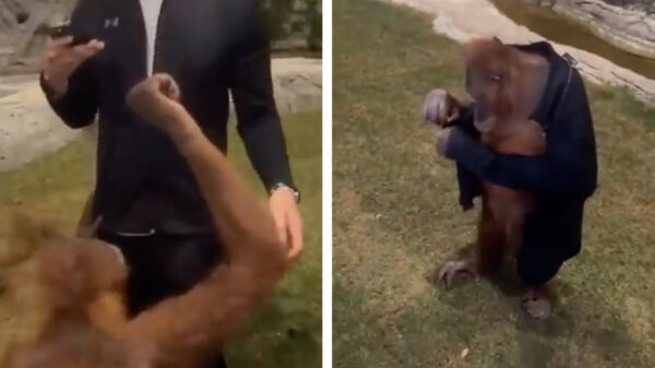 Geinig jassie hebbie daar, mag ik 'm ook eens uitproberen?