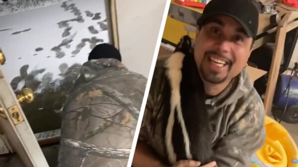 Schat, we hebben een nieuw huisdier!