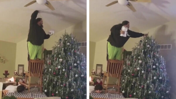 Het opzetten van de kerstboom verliep niet al te voorspoedig