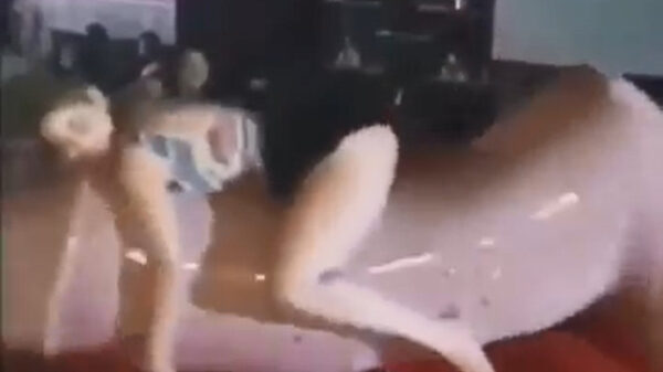 De mechanische stier kon vandaag niet