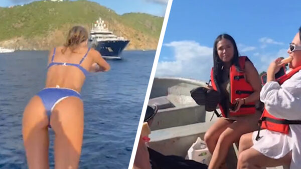 33 fascinerende faalhazen op een rij in een nieuwe compilatie