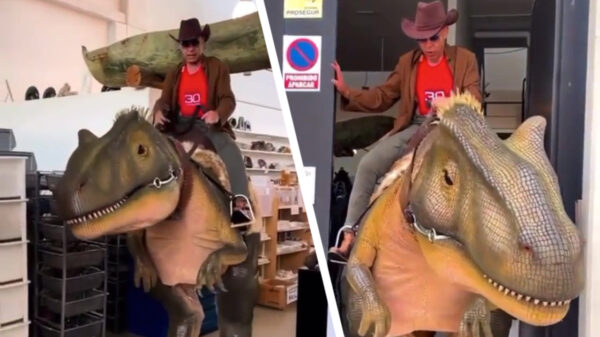 En de winnaar van "meest brute kostuum van 2022" is...