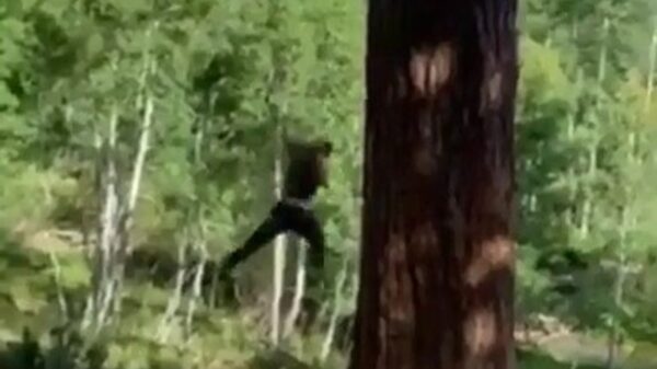 Jane heeft nog steeds veel moeite met de rope swing