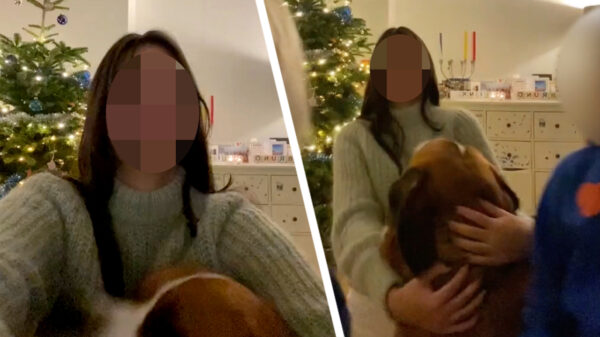 Ga lekker oppassen they said, it'll be fun they said