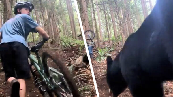 MTB'er schrikt zich de %$ˆ&@ als hij door een lijpe beer achterna wordt gezeten