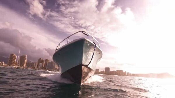 Speervisser weet ternauwernood boot te ontwijken als hij bovenkomt