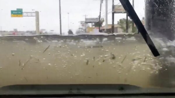 Dikke Hummer heeft geen enkele moeite met deze 'wasstraat'