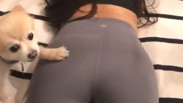 Blijf er met je poten vanaf