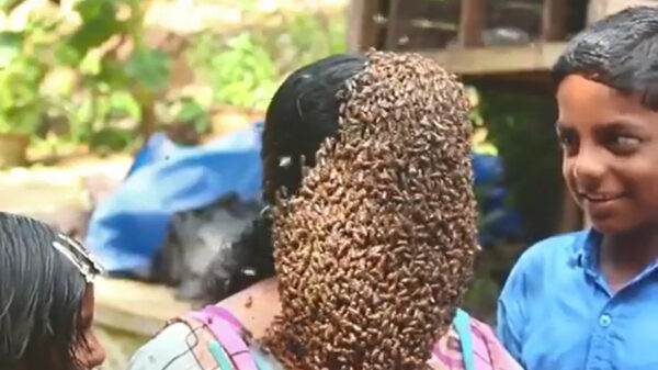 Pssst, er zit iets op je gezicht