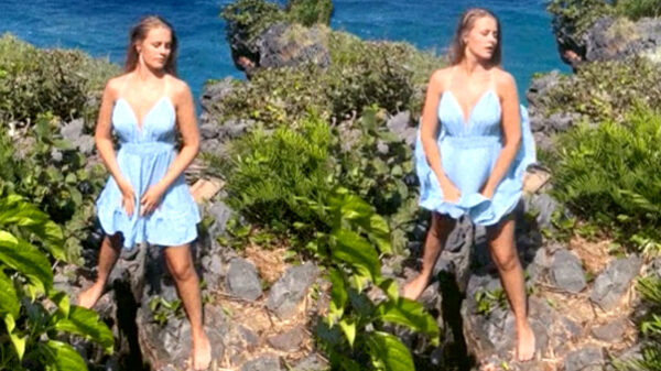 Zelfs op Tweede Kerstdag weten deze 25 schepsels prachtig te failen