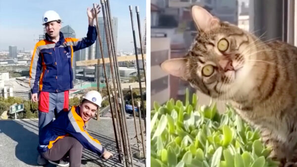 Heerlijke randomness in een nieuwe Coubcompilatie (166)