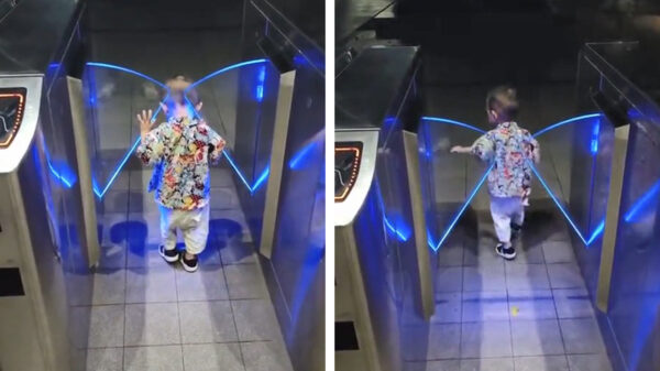 Karma op zijn schattige bakkes: dat krijg je als je niet betaalt