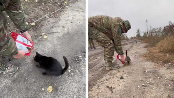 Dankzij deze Oekraïense helden komen ook de dieren niets tekort