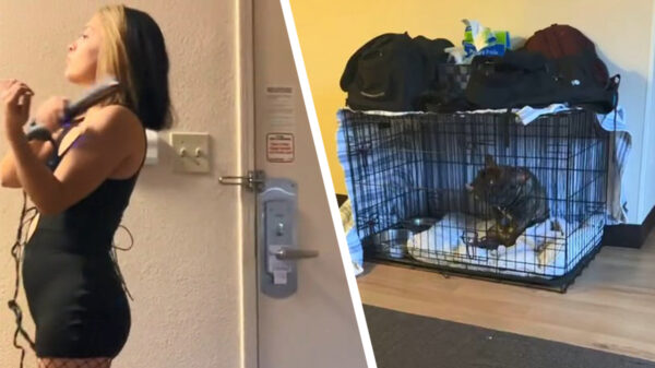 Zo is zien is Rex ontzettend gek op zijn baasje