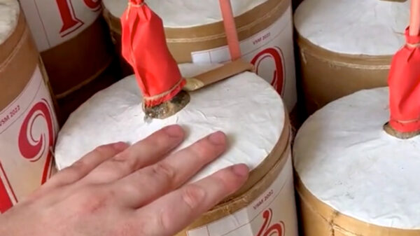 Met deze jongens in huis ben je dit jaar wel de eindbaas van de straat