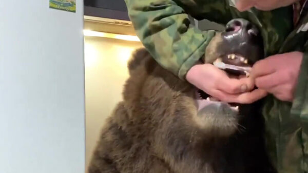 Tandenpoetsen gaat in Rusland net even anders dan anders