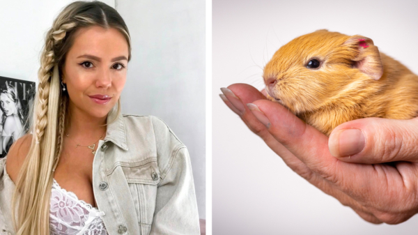 Bizar gerucht volgens Yvonne bevestigd: 'Zeer bekende Nederlander had onderonsje met hamster'