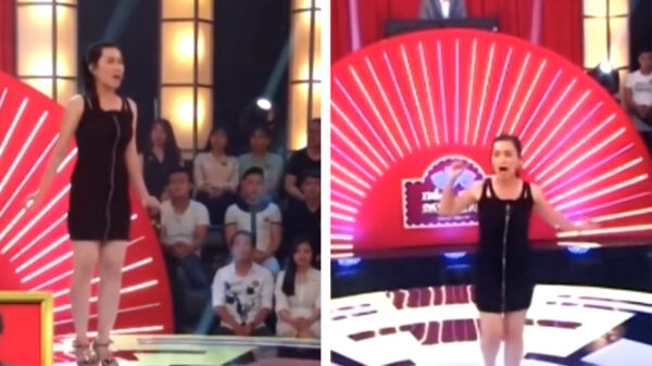 Oh baiba baiba: opvolger van Britney Spears bij talentenshow gevonden