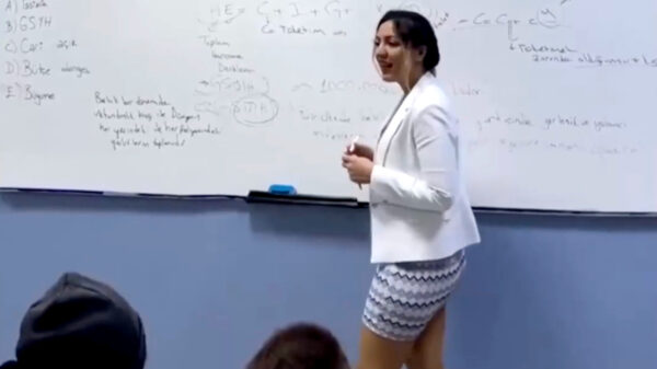 Kritiek op Turkse lerares Fidan Atalay die in een rokje naar school kwam