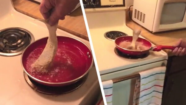 Als je vis weigert te accepteren dat 'ie dood is