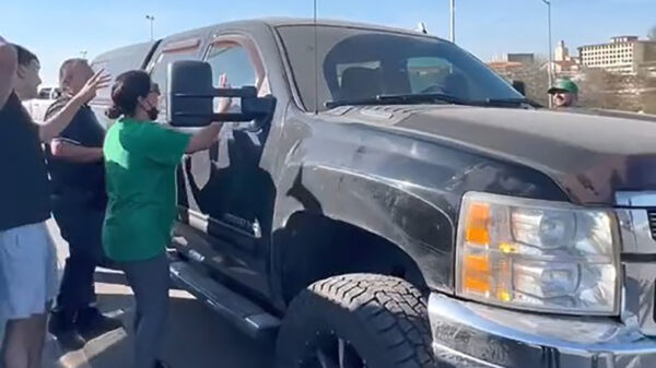 Als je hond de autodeuren heeft gesloten maak je hem gewoon jaloers