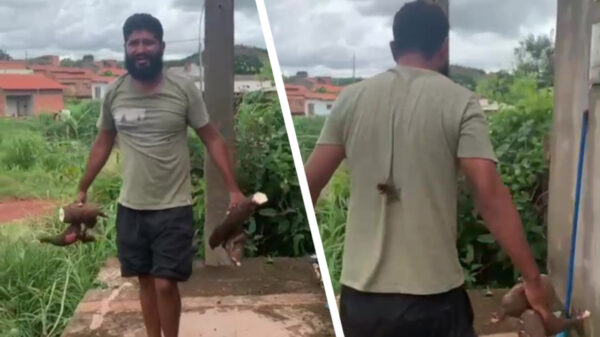 Hey vriend, volgens mij zit er iets op je rug!