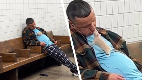 In het metrostation van New York gaat het er soms hartstochtelijk aan toe