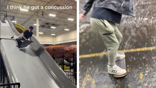 We got 'm: 33 beunhazen die bevestigen dat leedvermaak nooit gaat vervelen