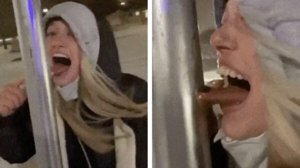 21 gifs die je maandag toch weer nèt iets aangenamer maken