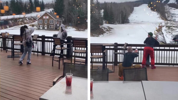 Influencers belachelijk maken is het lekkerste dat er is