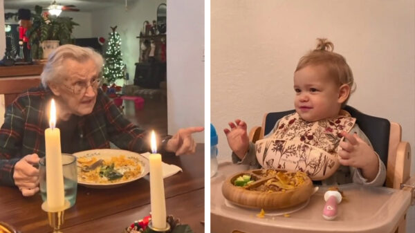 Troll-baas in wording neemt haar tandeloze oma nu al in de zeik