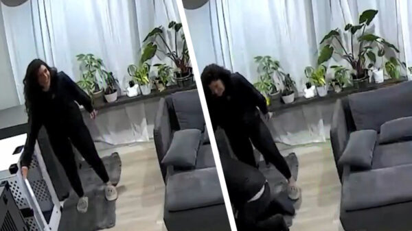 Mentaal uitgedaagd stelletje sluit zichzelf per ongeluk op in een hondenbench