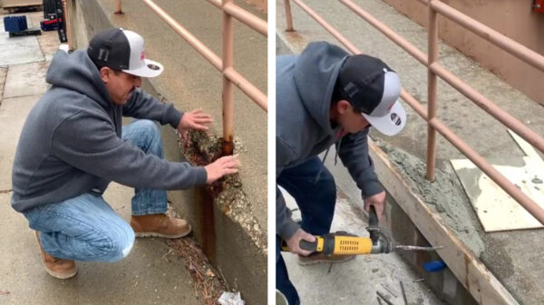 Van het kijken naar deze stoepreparatie word je weer heerlijk zen