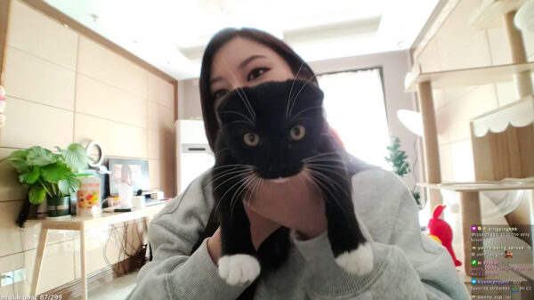 Dit kattenvrouwtje houdt misschien net iets teveel van haar kater