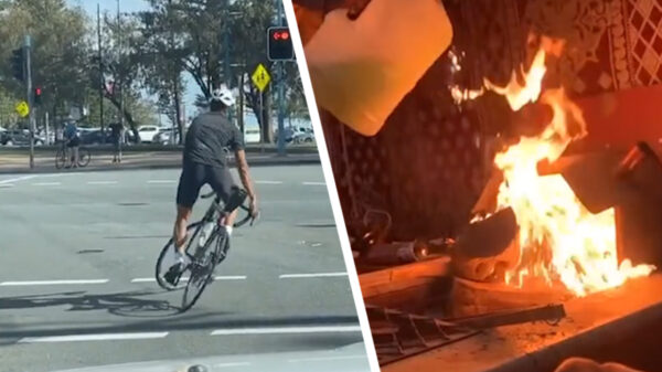 Here we go again: 30 imposante prutsers die er afgelopen week weer een potje van maakten