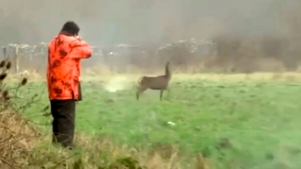 Op zondagochtend met scherp schieten is niet voor iedereen weggelegd