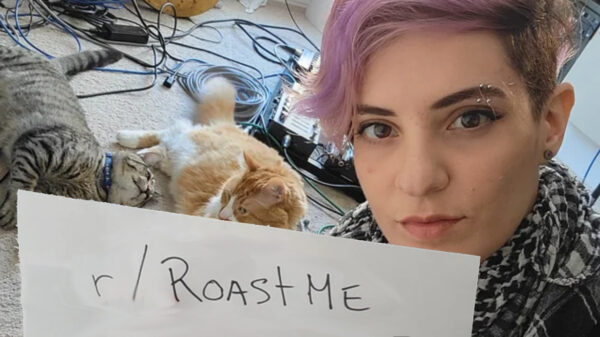 Een minuut stilte voor deze gewillige Roast-slachtoffers lijkt ons niet genoeg