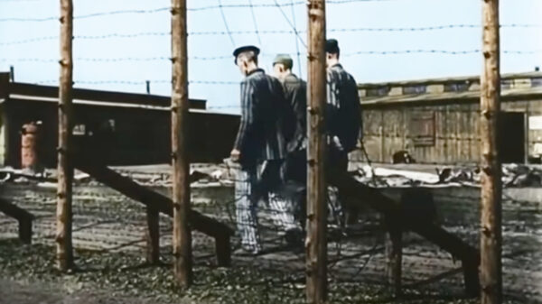 Bizar: bijna een kwart van de Nederlandse jongeren twijfelt aan de Holocaust