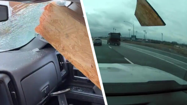 Was 'ie bijna een kopje kleiner dankzij een stuk hout dat dwars door z'n ruit vliegt