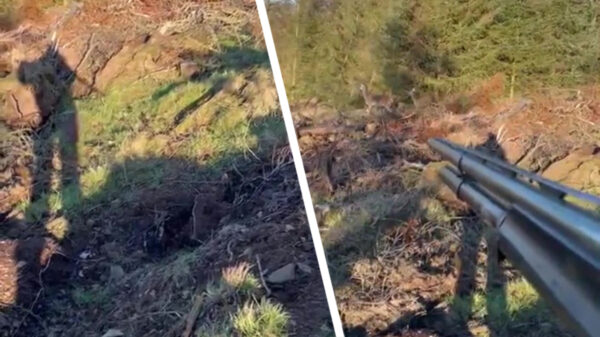 Jager komt in een wel héél onverwachte situatie terecht