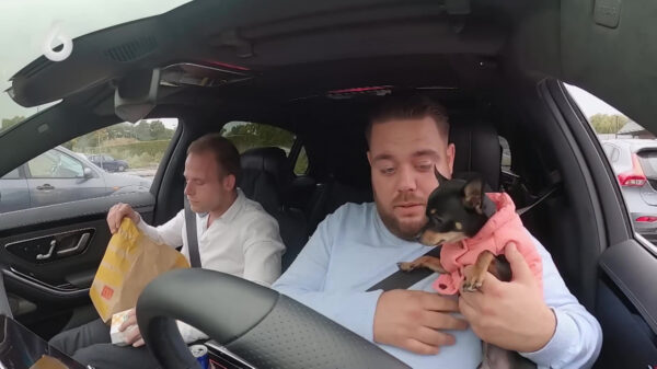 Kijkers Massa is Kassa piswoest op Mark Gillis vanwege mishandeling van hondje