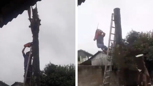 IJverige klusjesman neemt gelijk een kijkje bij de buren of ze iets te doen hebben