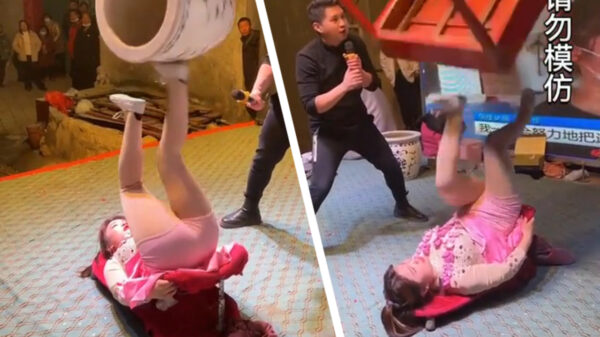 Welkom bij het programma "hooghouden voor absolute professionals"