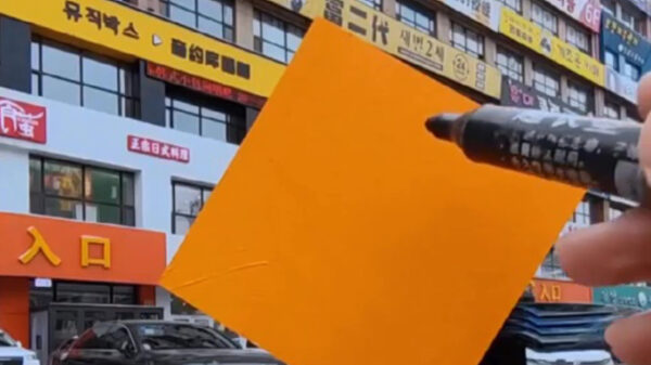 Kunstenaar weet een blaadje vakkundig weg te toveren