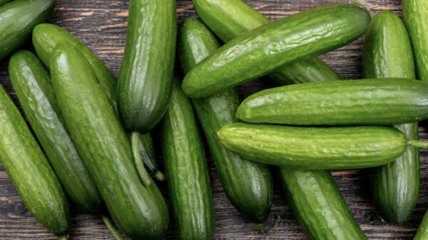 En de award voor snelste komkommerknager van 2023 gaat naarrrr