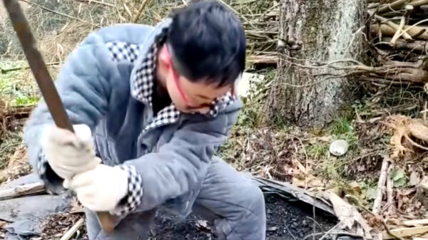 Misschien moet deze houthakker toch even terug naar de opticien