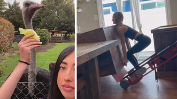 Prutsers klaar? Failen maar: 34 heerlijke bloopers op een rij in een nieuwe compilatie